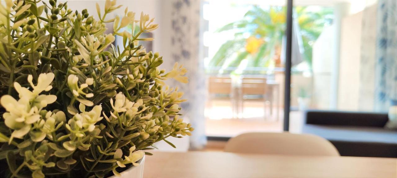 Apartamento Jacaranda By Denia Costa מראה חיצוני תמונה